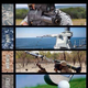 Illustration for article titled Military memes